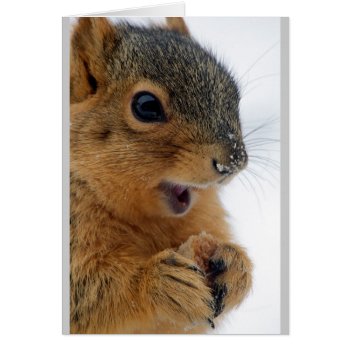 Happiest Squirrel Ever by wottwin at Zazzle