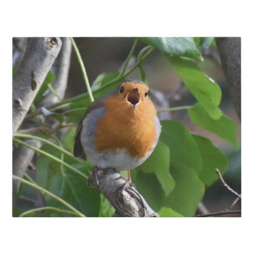 Happily Singing Robin Faux Canvas Print
