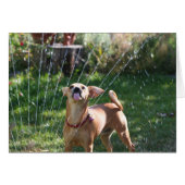 Happiness (Front Horizontal)