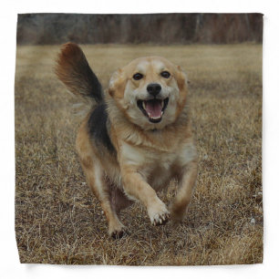 Happiness Bandana