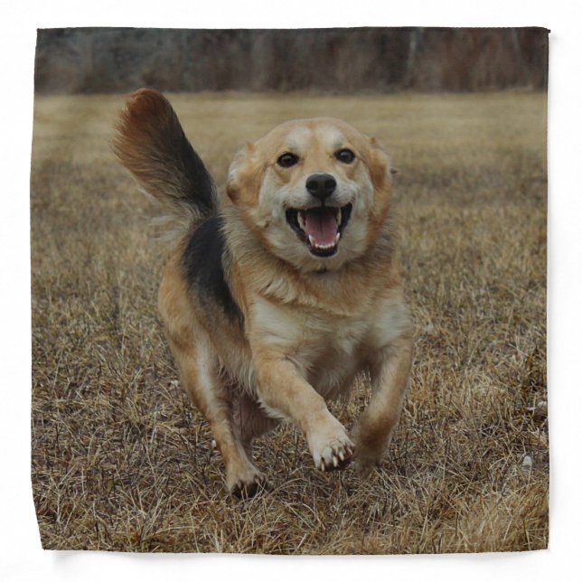 Happiness Bandana (Front)