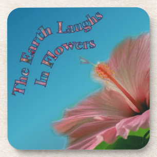 Happiness Hibiscus Flower Inspirational Coaster Se