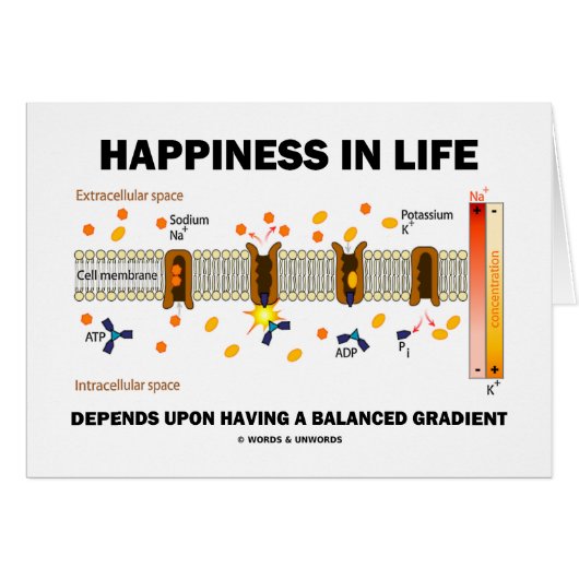 Happiness In Life Depends Upon Balanced Gradient Cards (Front Horizontal)