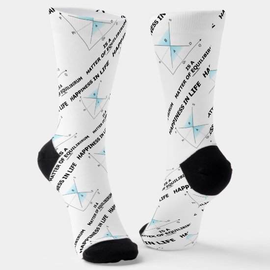 Happiness In Life Is A Matter Of Equilibrium Econ Socks