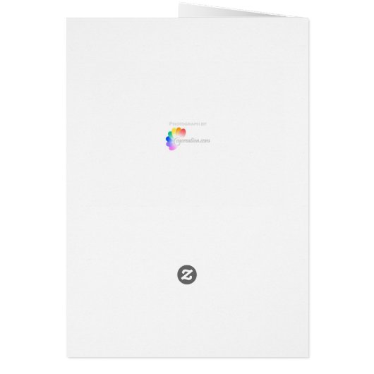 Happiness is a journey (Back)