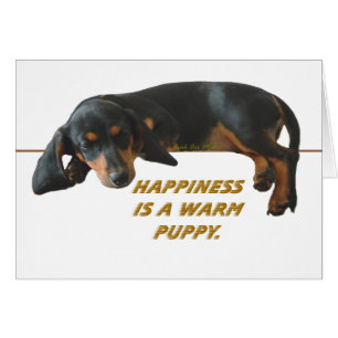 Happiness Is A Warm Puppy Note Card