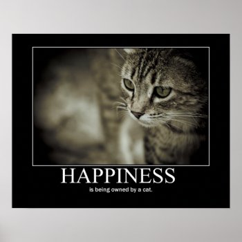 Happiness Is Being Owned By A Cat Poster by artisticcats at Zazzle