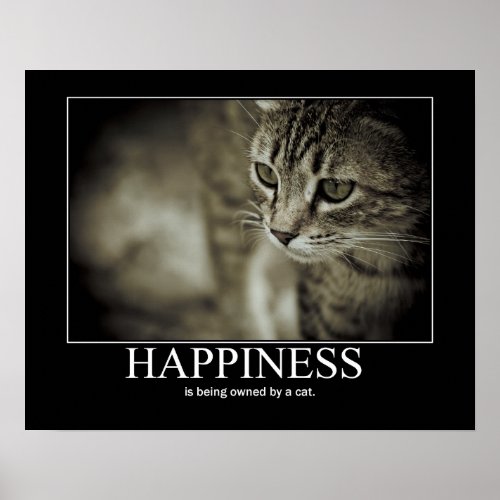 Happiness is Being Owned by a Cat Poster