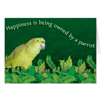 Happiness is being owned by a parrot.