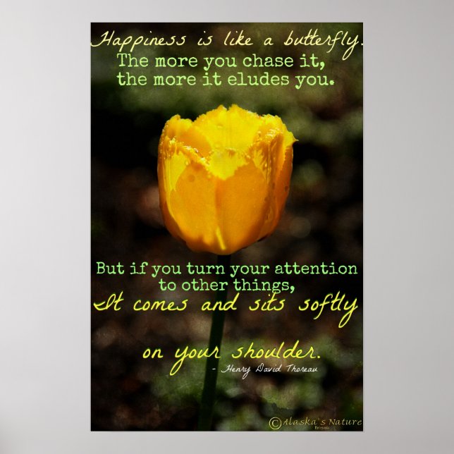 Happiness is like a butterfly Poster (Front)