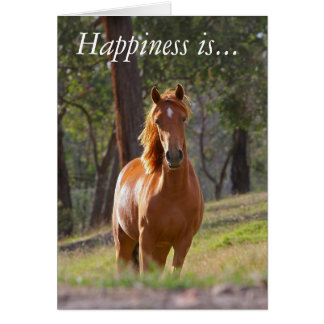 Happiness is spending time with your horse cards