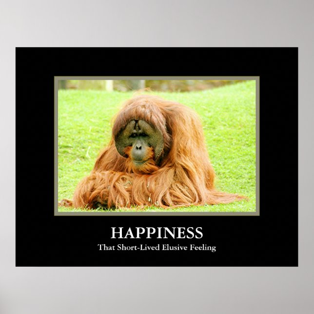 Happiness ~ That Short-Lived Elusive Feeling Poster (Front)