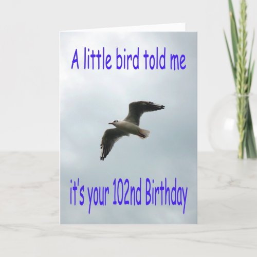 Happy 102nd Birthday Flying Seagull bird Card