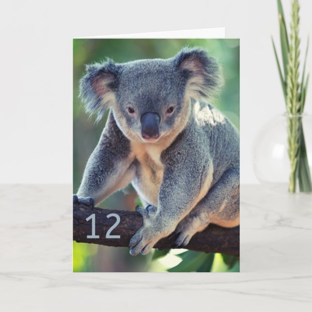 Happy 12th Birthday Australian Koala Greeting Card (Front)