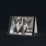 HAPPY **12th** BIRTHDAY FROM CUTE KITTENS Card<br><div class="desc">LET HIM OR HER KNOW THAT YOU ARE SO HAPPY FOR HIM OR HER ON **12th** BIRTHDAY AND YOU CAN CHANGE THE AGE AND THE VERSE IF YOU WISH!!!!!   THANKS FOR STOPPING BY ONE OF MY EIGHT STORES!</div>