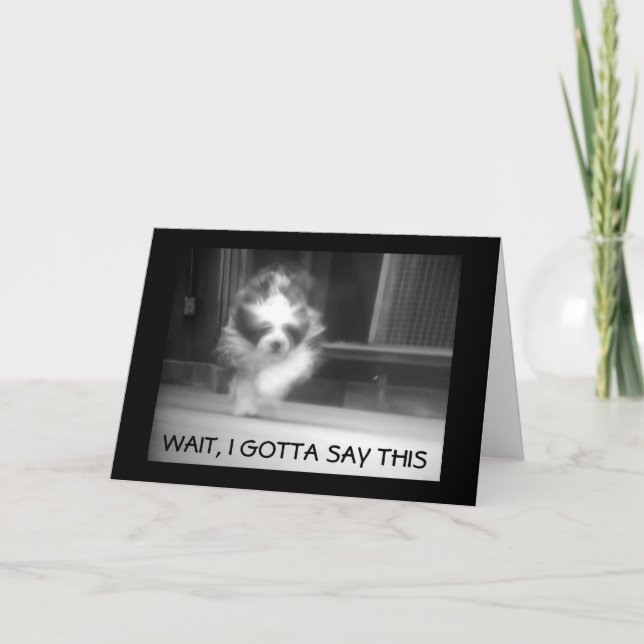 HAPPY **13th BIRTHDAY** SAYS COOL SHEEPDOG Card (Front)