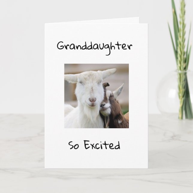 HAPPY *13th BIRTHDAY TO  YOU *GRANDDAUGHTER* Card (Front)