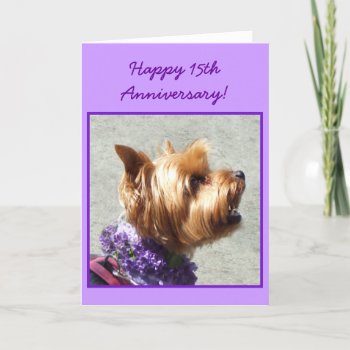 Happy 15th Anniversary Yorkshire Terrier Card by ritmoboxer at Zazzle