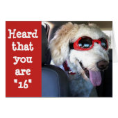 HAPPY **16th BIRTHDAY**TIME TO CELEBRATE!!!! (Front Horizontal)