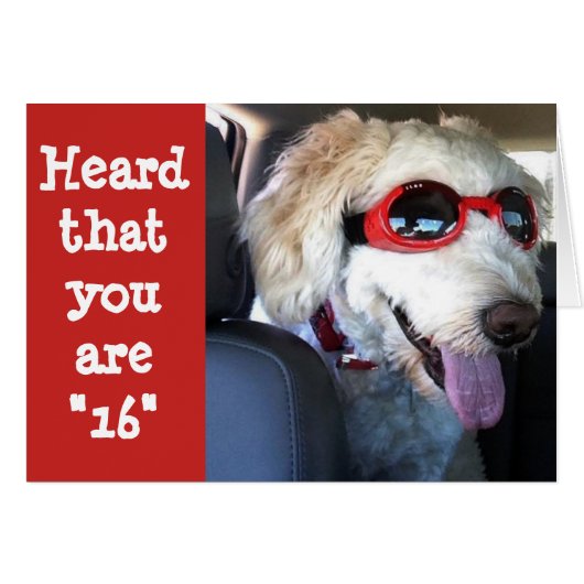 HAPPY **16th BIRTHDAY**TIME TO CELEBRATE!!!! (Front Horizontal)