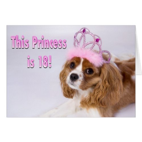 Happy 18th Birthday Cavalier King Charles Card