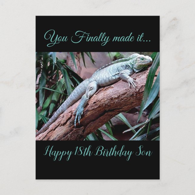 Happy 18th Birthday Son lizard  Postcard (Front)