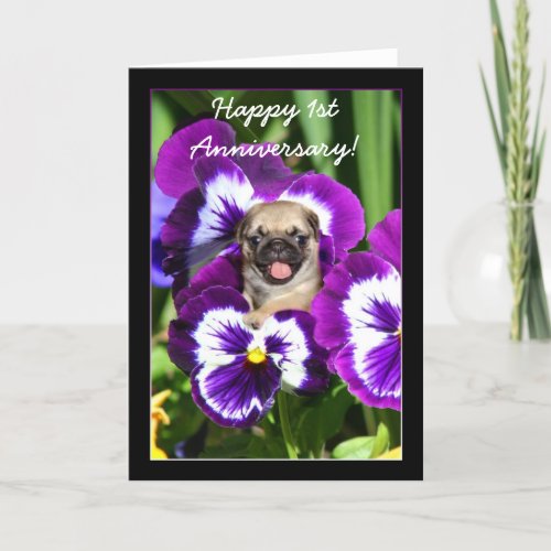 Happy 1st Anniversary Pug in pansies card