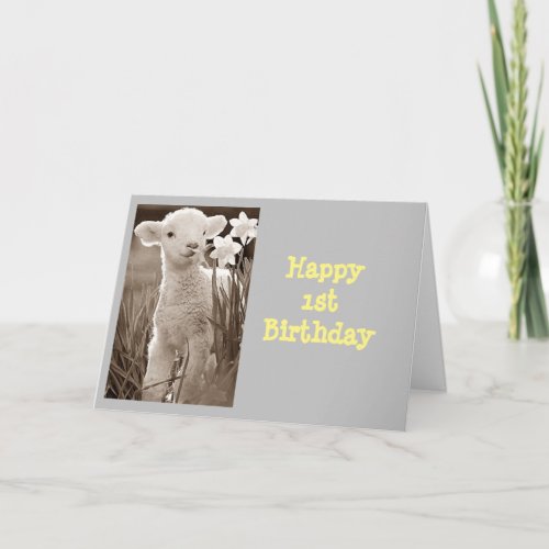 HAPPY 1st  BIRTHDAY SPECIAL BABY FROM LAMB Card