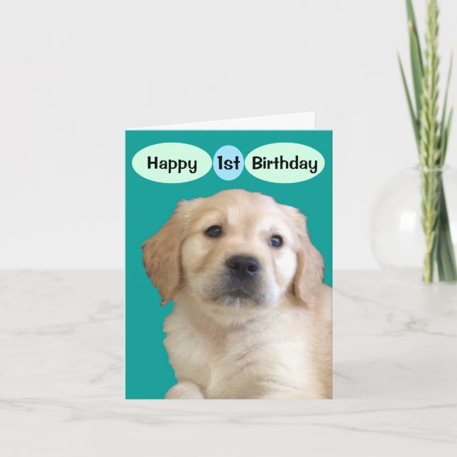 Happy 1st Birthday to a Special Boy Card (Front)