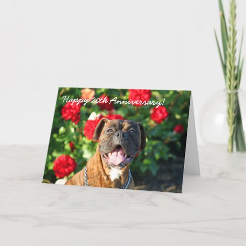 Happy 20th Anniversary Boxer Greeting Card