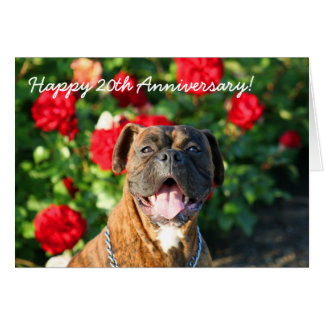 Happy 20th Anniversary Boxer Greeting Card