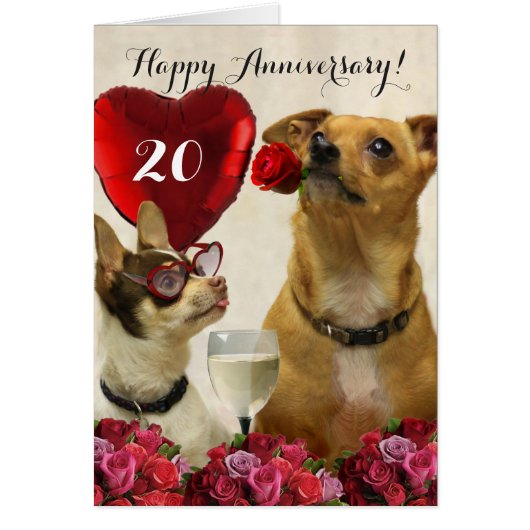 Happy 20th Anniversary chihuahua dogs card (Front)