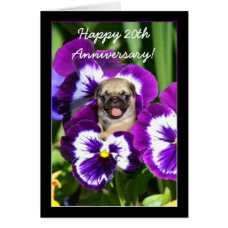 Happy 20th Anniversary Pug in pansies card