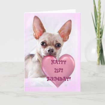 Happy 21st Birthday Chihuahua Greeting Card by ritmoboxer at Zazzle