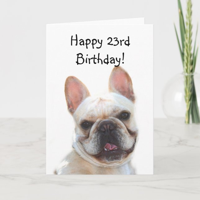 Happy 23rd Birthday French Bulldog Greeting Card (Front)