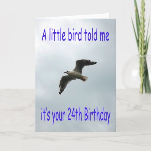 Happy 24th Birthday Flying Seagull bird Card