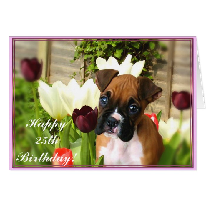 Happy 25th Birthday Boxer puppy Greeting Card