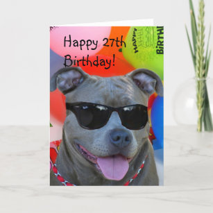 Pitbull Bikini Birthday Card 