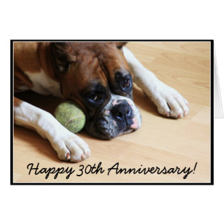 Happy 30th Anniversary boxer dog greeting card