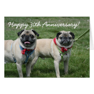 Happy 30th Anniversary pug greeting card