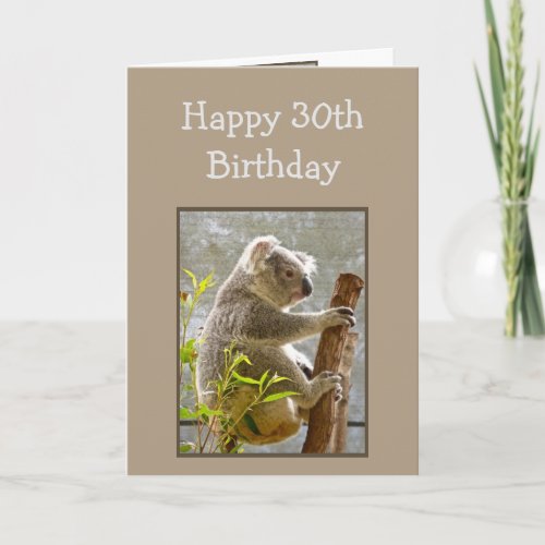 Happy 30th Birthday Koalified Over the Hill Fun Card