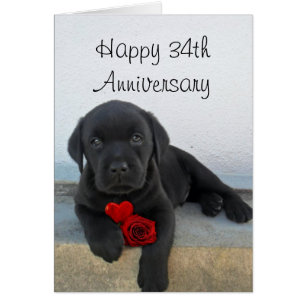 Happy 34th Anniversary Labrador puppy card