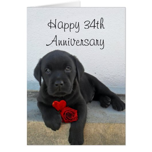 Happy 34th  Anniversary Labrador puppy card (Front)