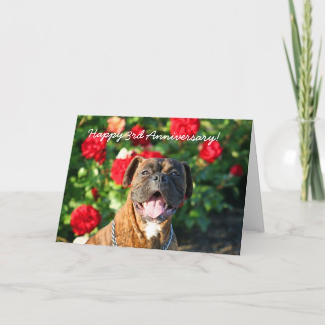 Happy 3rd Anniversary Boxer Dog Greeting Card (Front)