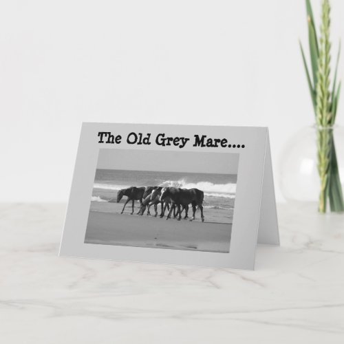 HAPPY 40th BIRTHDAY FROM THE OLD GREY MARES Card