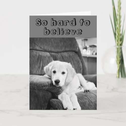 HAPPY 40th BIRTHDAY TO YOU from CUTE PUP Card