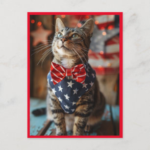 Happy 4th of July Cat Holiday Postcard