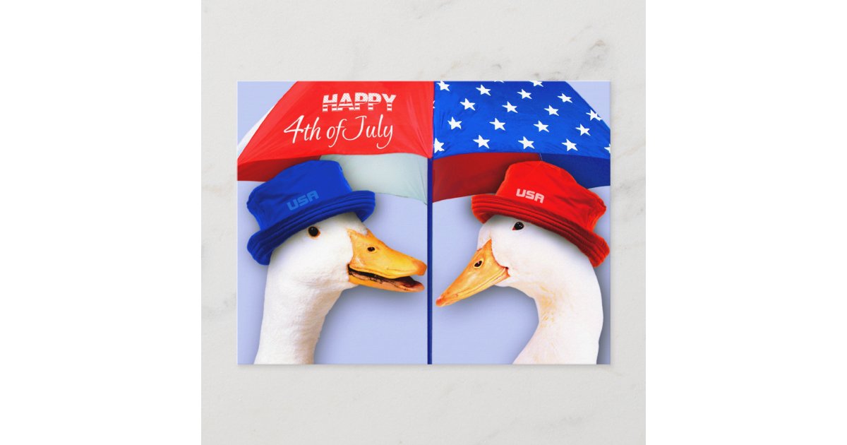 Download Happy 4th Of July Funny Ducks Postcards Zazzle Com