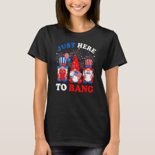 Happy 4th Of July Just Here To Bang Gnomes Patriot T-Shirt