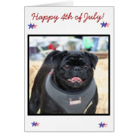 Happy 4th of July Pug Dog Card